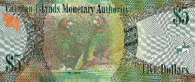 Beschrijving achterzijde: BIRDS